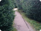 3B6jY1491231375