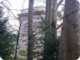 Belvedere