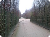 Bosquet du Dauphin