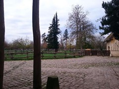 65T4p1494596715