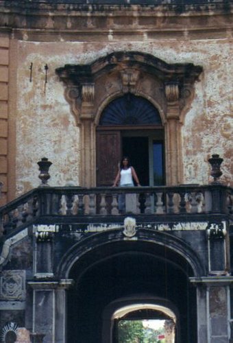 palagonia07.jpg