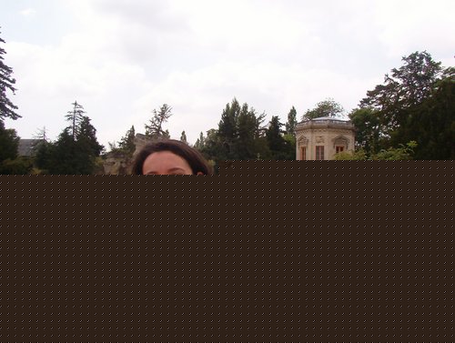 IM003655.jpg