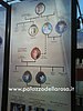 DSC04243.jpg